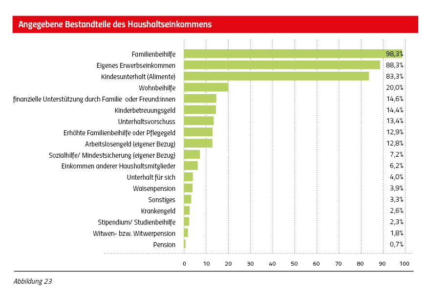 Umfrage Alleinerziehende: Angegebene Bestandteile des Haushaltseinkommens
