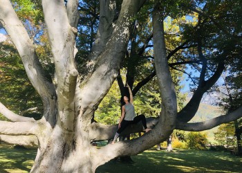 Sandra König macht Yoga auf einem Baum © Sandra König,  