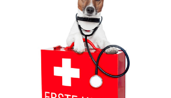Erste Hilfe, Koffer, Hund, Stethoskop © Javier Brosch, Fotolia.com