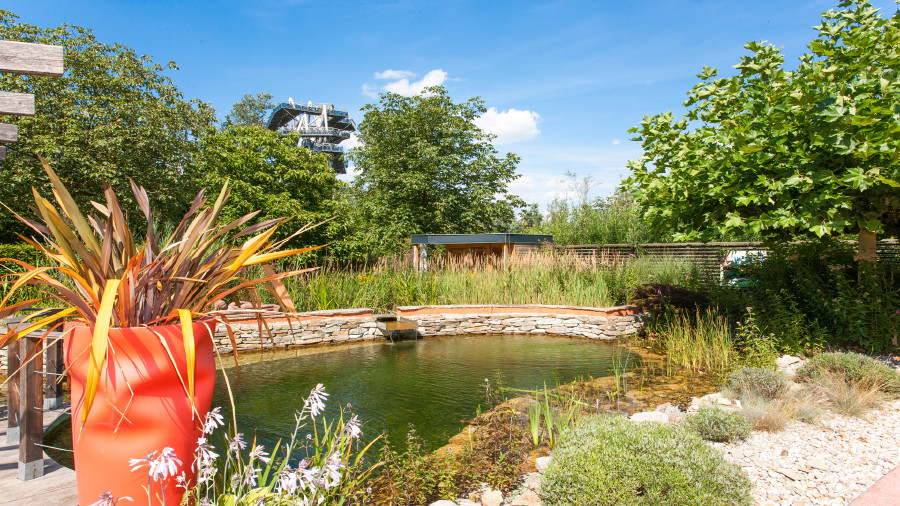 Teich © Helmut Kail, DIE GARTEN TULLN Blick auf Teich und den Baumwipfelweg im Hintergrund © Helmut Kail, DIE GARTEN TULLN