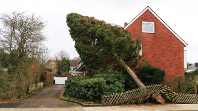 Ein Baum ist auf ein Haus gestürzt und hat einen Zaun zerstört.