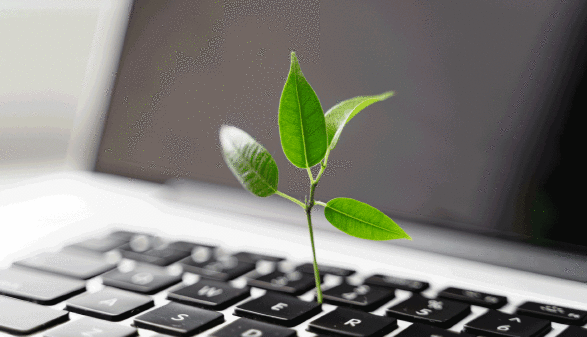 Grünes Pflänzchen auf Computertastatur © troyanphoto, Adobe Stock