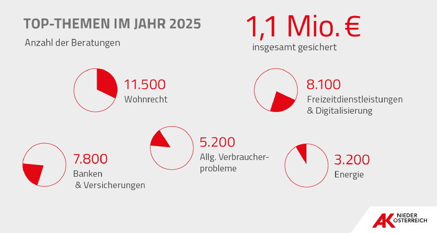 Konsumentenberatungs-Bilanz 2025: Die Top-Themen